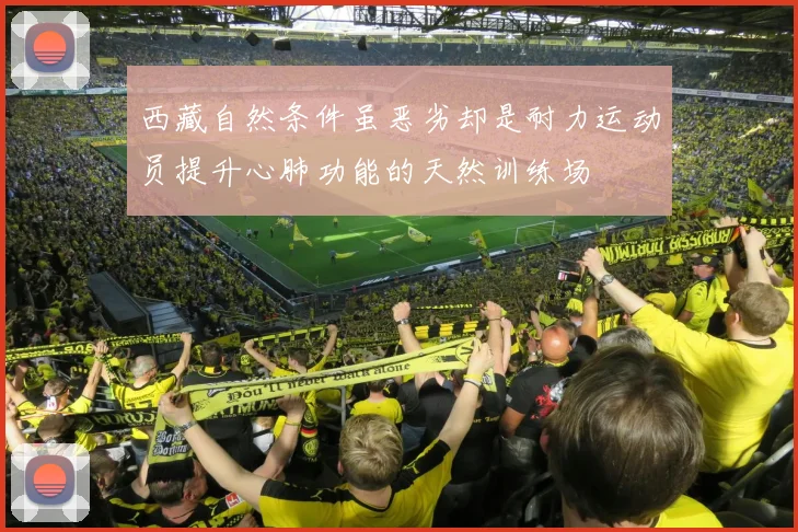 西藏自然条件虽恶劣却是耐力运动员提升心肺功能的天然训练场