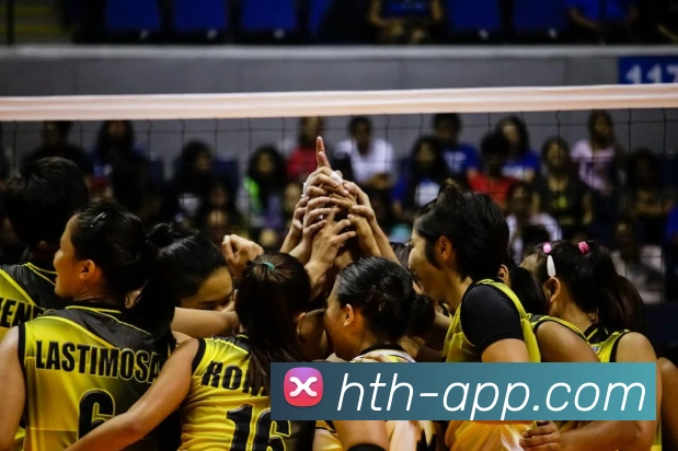 App Interface Preview